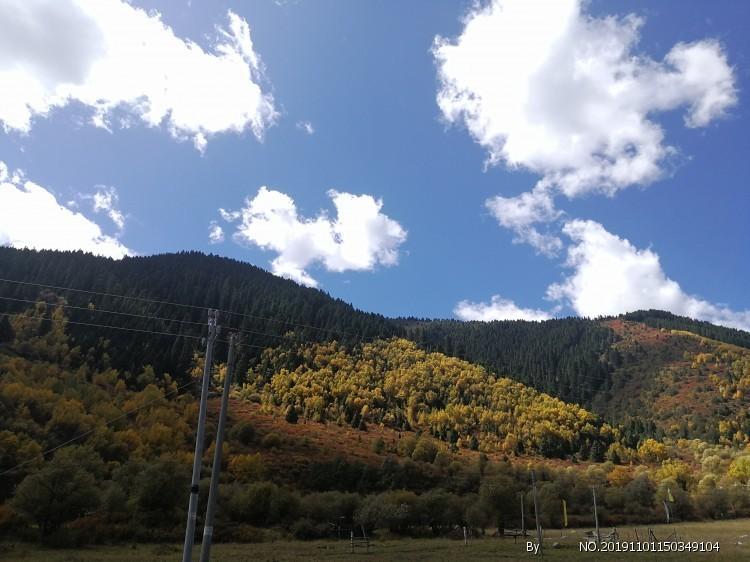 首届数字机关应用创新大赛（临沂市）颁奖暨应用平台上线仪式在莒南县举行
